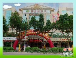 广东梅州爆料事件最新消息,最新进展揭秘，真相逐渐浮出水面